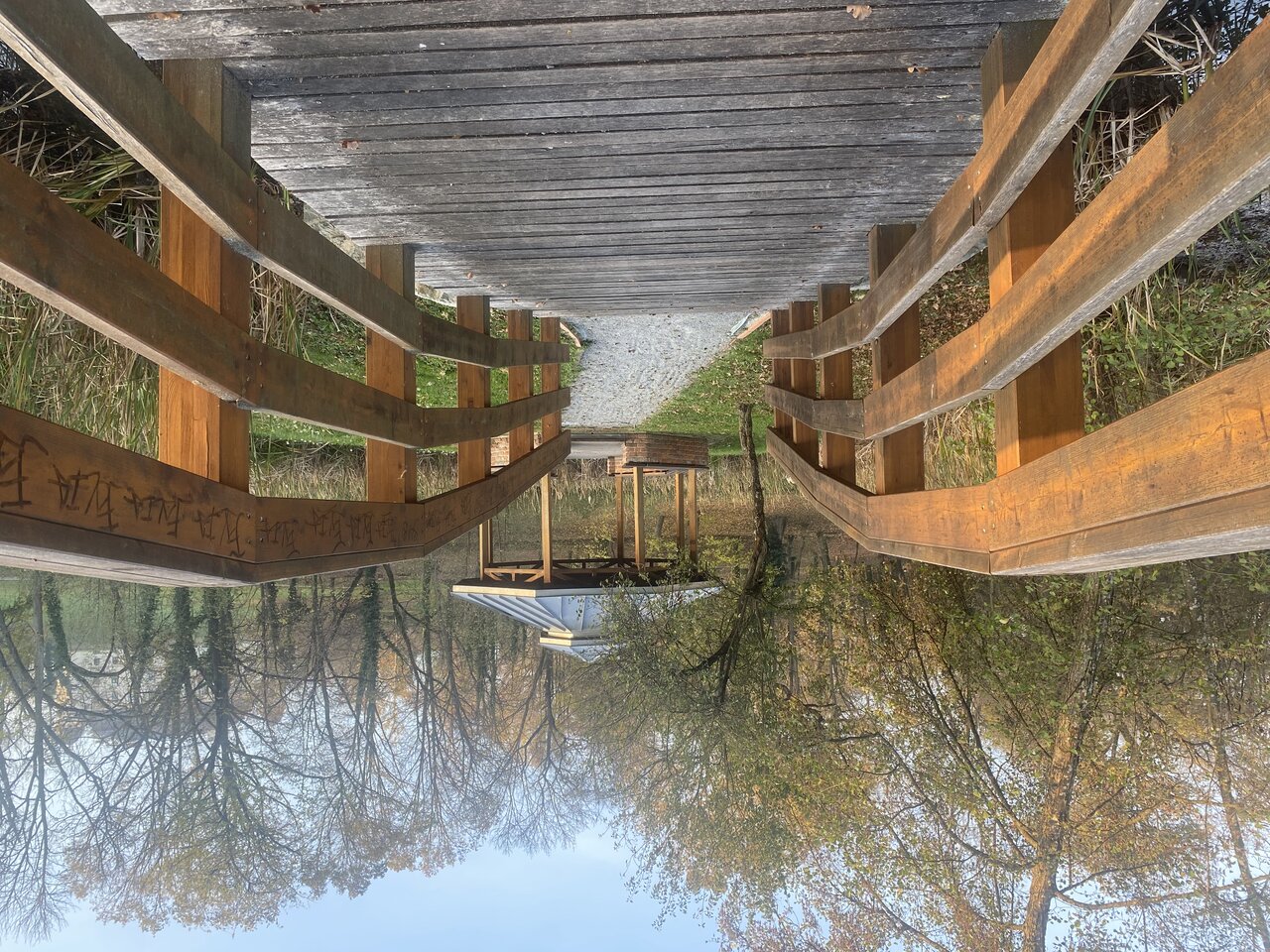 Wooden bridge over a woodland stream