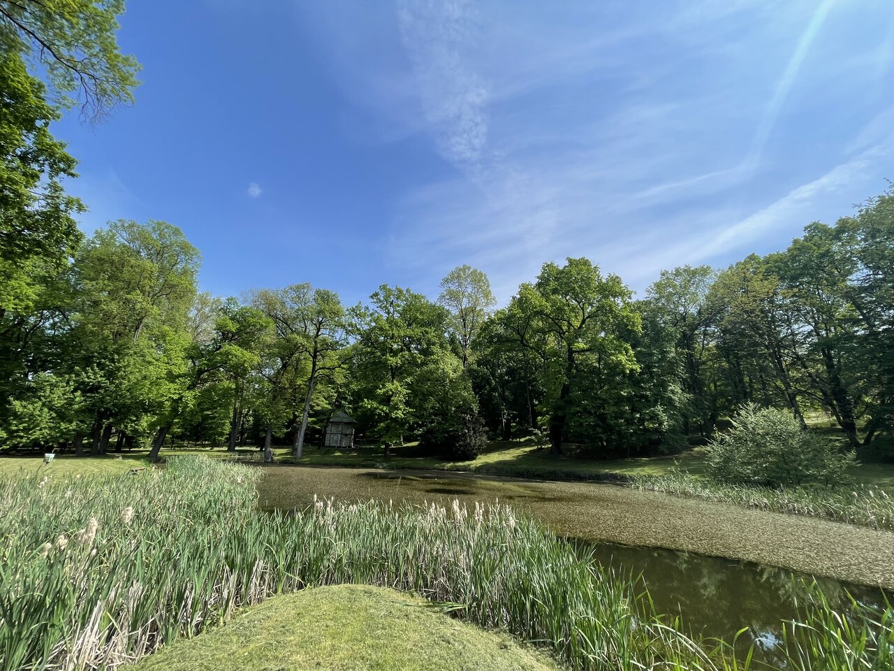 Pejačević Park pond in summer